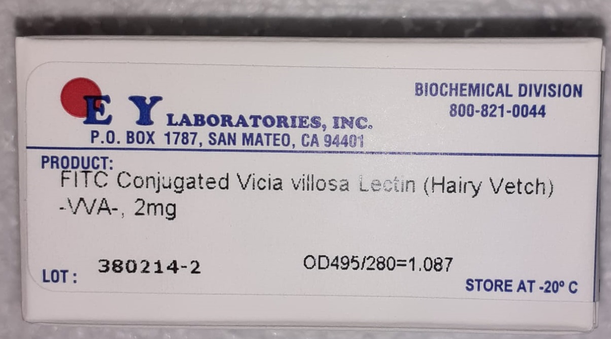 FITC Conjugated Vicia villosa Lectin (Bushy Vetch) -VVA-